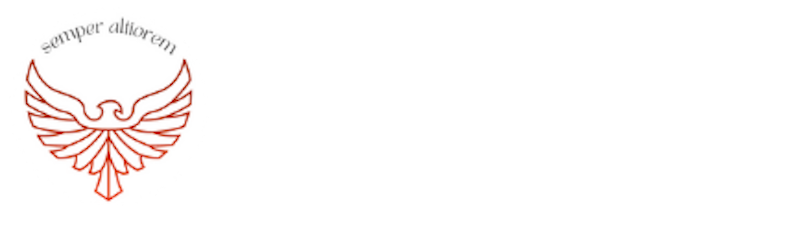 Logo NachaTek Web2